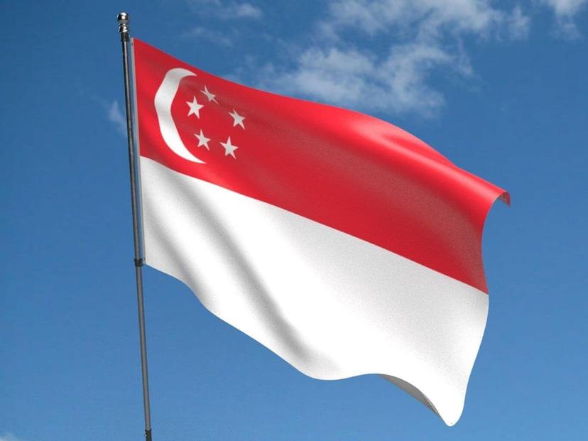 Singapore Tourist E-Visa